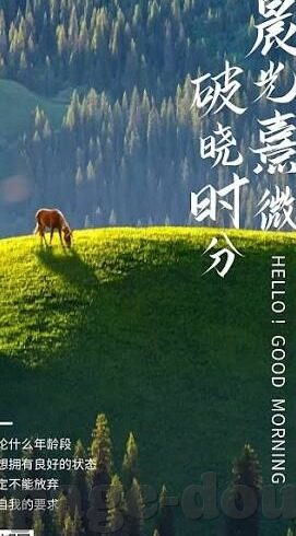 91麻豆免费在线视频-代代工匠精神下的网络视频新现象，91麻豆的免费在线视频探索