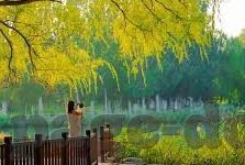 亚洲麻豆av一区二区-不妨让我们的笔触流淌在美丽的文字世界里，于东方的怀抱中寻觅那些细腻而遥远的记忆，探讨在互联网浪潮下，亚洲文化与数字时代交织的独特景象