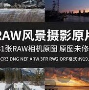 在线视频成人-探索在线视频成人教育的新时代